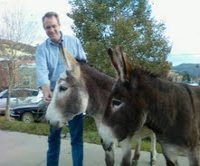 How to Greet a Donkey - Success!