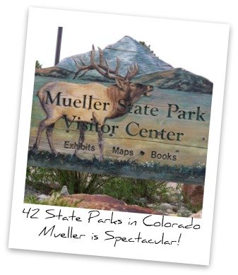 Mueller State Park Mueller State Park